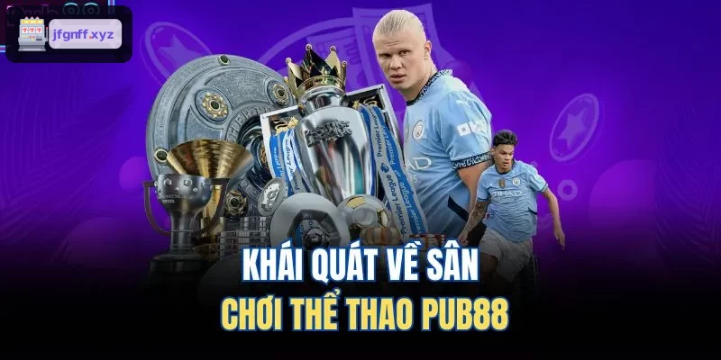 Khái quát về sân chơi thể thao 388BET